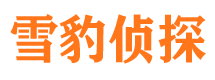 那坡市婚外情取证